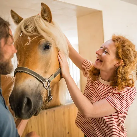 Der Ballhaushof Appartement