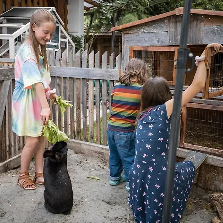 Appartement Der Ballhaushof *