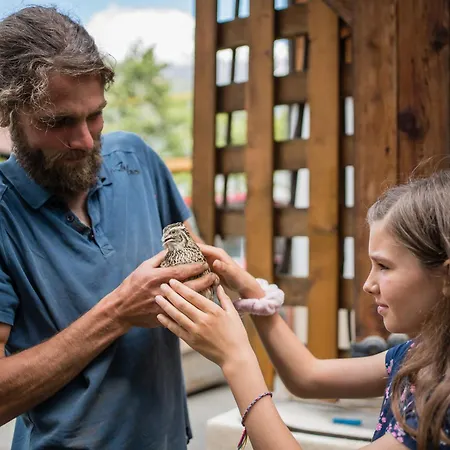 Appartement Der Ballhaushof