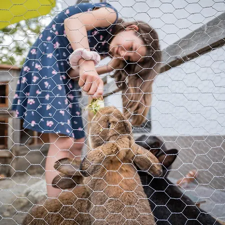 Der Ballhaushof Prutz