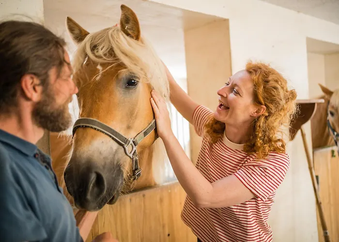 Der Ballhaushof アパート